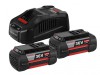 Bosch GBA 6.0Ah Battery & Charger Starter Kit 36V