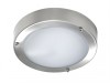 Byron Stainless Steel Wall/Ceiling Outdoor Light