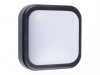 Byron Square LED Bulkhead 10 Watt 700 Lumen