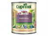 Cuprinol Garden Shades Purple Pansy 1 Litre
