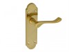 Forge Backplate Handle Latch - Gable Brass Finish