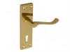 Forge Backplate Handle Lock - Scroll Victorian Brass Finish 150mm
