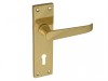 Forge Backplate Handle Lock - Straight Victorian Brass Finish 150mm