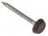 ForgeFix Polytop Nail Brown Stainless Steel 40mm Box 100