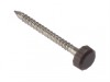 ForgeFix Polytop Pin Brown Stainless Steel 25mm Box 250