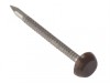 ForgeFix Polytop Pin Brown Stainless Steel 30mm Box 250