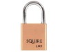 Henry Squire LN2 Lion Brass Padlock 25mm