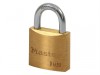 MasterLock V Line Brass 30mm Padlock - Keyed Alike 142