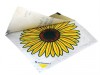 Rentokil Advanced Window Fly Traps Pack of 4