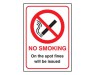 Scan No Smoking On The Spot Fine 300 x 250mm