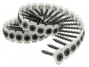 Senco DuraSpin Collated Screws Drywall to Wood Screw 3.9 x 50mm Pack 1000