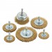 Brassed Steel Crimped Wire Brush Set (6 Piece)