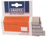 1000 X 10MM HEAVY DUTY STAPLES