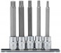 3/8\" Sq. Dr. Spline Socket Bit Set (5 piece)