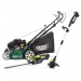 LAWN AND HEDGE TIDY KIT