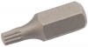 Expert M5 x 30mm Spline 10mm Insert Bit for Mechanic\