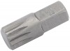 Expert M12 x 30mm Spline 10mm Insert Bit for Mechanic\
