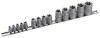 DRAPER EXPERT 14 PIECE SET OF DRAPER TX-STAR SOCKETS ON A RAIL