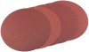 Five Assorted Grit Sanding Discs for DS305