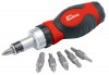 Ratcheting Screwdriver and Bit Set (6 piece)