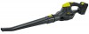 18V Cordless Li-ion Blower with Battery and Charger