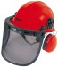 Forestry Helmet
