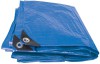 Heavy Duty Polyethylene Tarpaulin (3M x 5M)