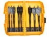 DeWalt Extreme Flatbit Tough Case Set