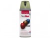 Premium Spray Paint Satin Leafy Rise