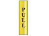Scan Pull (vertical) - Pol (200 x 50mm)
